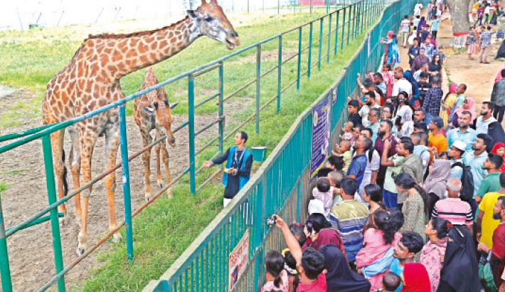 Eid-ul-Azha in Photos